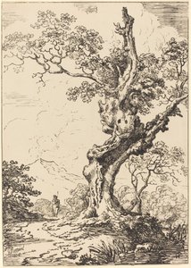 Study of an Old Oak Tree, Water on Right, a Man on Left by George Samuel