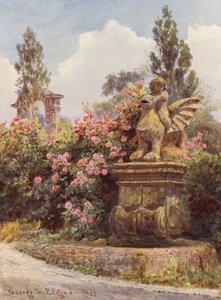 Italian Gardens: China Roses, Villa Imperiali by George Samuel Elgood
