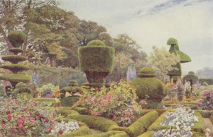 Levens, Roses and Pinks by George Samuel Elgood
