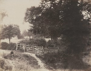 Green Meadows, 1854 by George Shadbolt