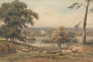 A Distant View of Ampthill Park