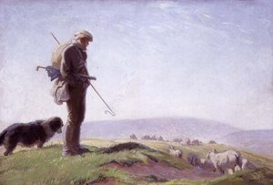 South Down Shepherd
