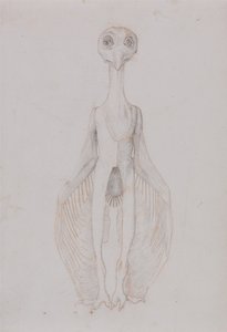 Owl Standing, Anterior View