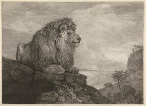 A Lion Resting on a Rock by George Stubbs