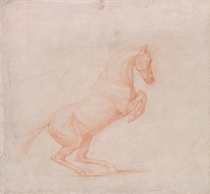 A Prancing Horse, Facing Right