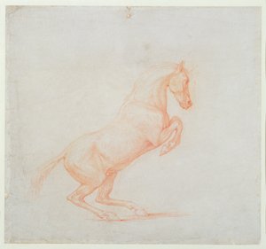 A Prancing Horse, Facing Right