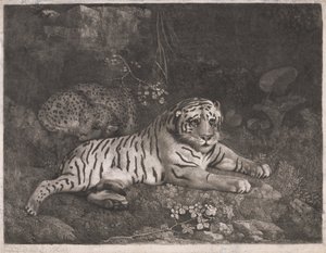A Tiger and a Sleeping Leopard by George Stubbs