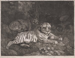 A Tiger and a Sleeping Leopard by George Stubbs