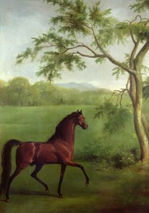 An Arabian Stallion beneath a Tree by George Stubbs