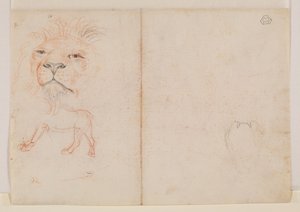 Head of a Lion, Verso by George Stubbs
