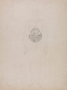 Human Figure, Anterior View (Outline drawing) by George Stubbs