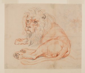 Lion resting, recto, 18th or 19th century