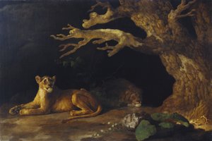 Lioness and Cave
