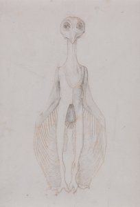 Owl Standing, Anterior View by George Stubbs