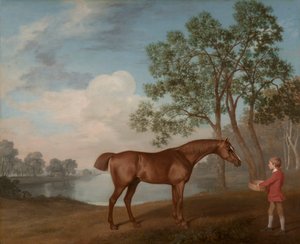 Pumpkin with a Stable-lad