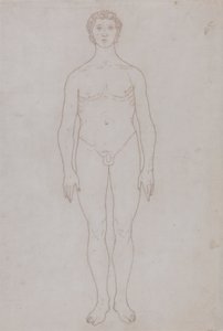 Study of the Human Figure, Anterior View (Outline Drawing for Table VI) by George Stubbs