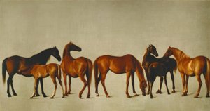 Mares with Foals
