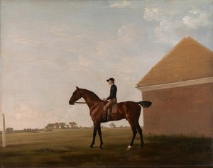 Turf, with Jockey up, at Newmarket