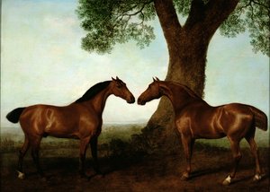 Two Bay Hunters by a Tree