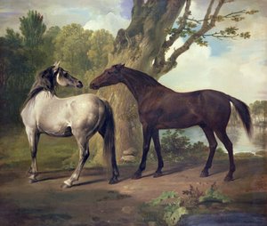 Two Horses in a Landscape