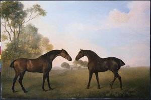 Two Hunters out at Grass