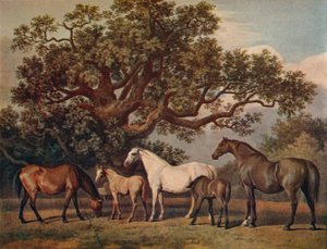 Brood Mares and Foals by George Townley Stubbs