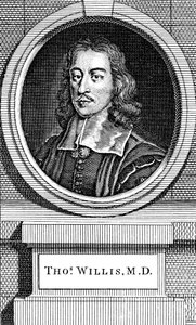 Thomas Willis, 17th Century English Physician, 1742