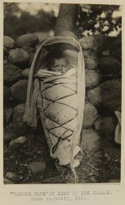 Washoe Babe at Rest in Its Cradle. Reno Vicinity