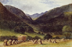 Harvest Time, Llyn Crafnant, North Wales