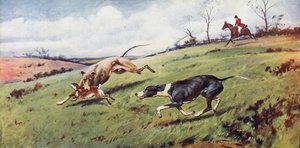 Coursing by George Wright