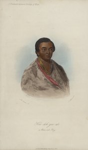 A Chinook Boy by George after Catlin