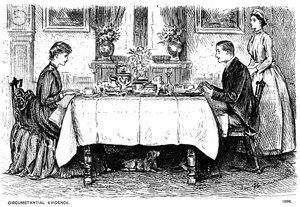 Circumstantial Evidence, 1886-1891 by George du Maurier