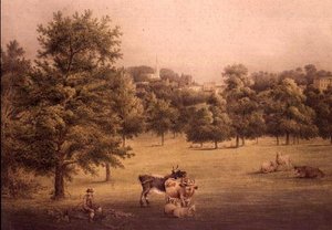 Harrow-on-the-Hill