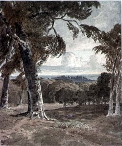 Windsor Park, with the Castle in the Distance