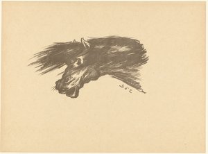 Head of a Horse Etude L