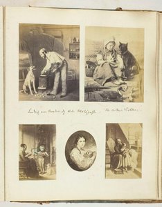 Untitled [page of illustrations]