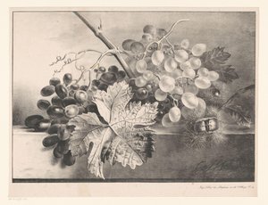 Still Life with Grapes and Chestnuts