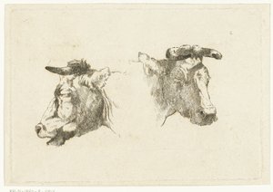 Two Heads of Cows