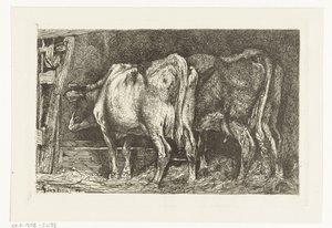 Two Cows at a Feeding Trough by Gerard Jan Bos