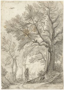Forest of the Villa Madama outside Rome