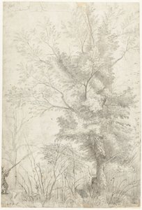 Forest of the Villa Madama Outside Rome, with a Hunter Shooting