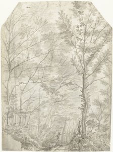 Forest of the Villa Madama Outside Rome, with a Hunter