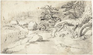 Study of Tree Roots by a Stream by Gerard ter Borch (I)