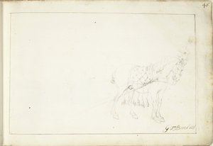 Horse, Facing Right by Gerard ter Borch (II) (signed by artist)