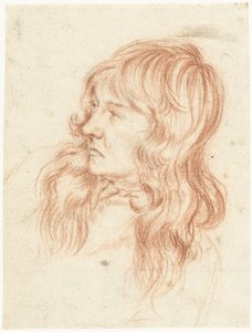 Head of a Young Man Facing Left