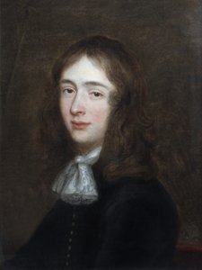 Portrait of a Youth by Gerard ter Borch