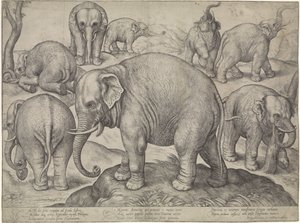 Eight Elephants by Gerard van Groeningen
