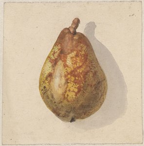 Pear by Gerardina Jacoba van de Sande Bakhuyzen