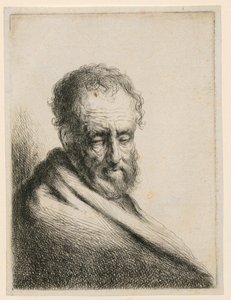Old Man with a Beard by Gerbrand van den Eeckhout