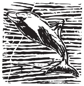 Dolphin by Gerhardt Isringhaus